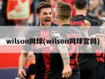 wilson网球(wilson网球官网)