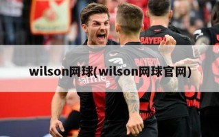 wilson网球(wilson网球官网)