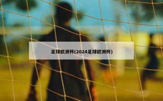 足球***(2024足球***)