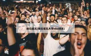 维拉纽瓦(维拉诺瓦大学nba球员)