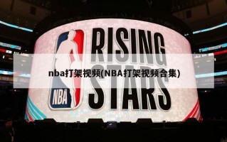 nba打架视频(NBA打架视频合集)